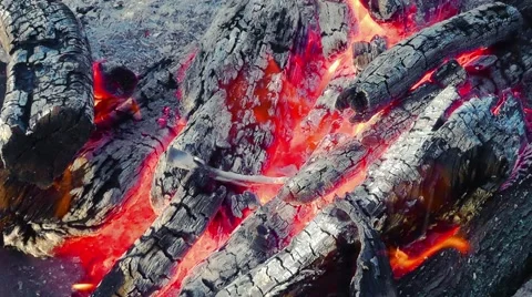 Bright flame in the campfire Stock Footage 55262489