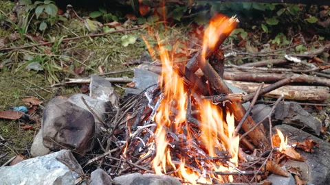 A bright flame of fire. Flame close-up. Camping in the spring. Danger of fire. Stock Footage 195306257