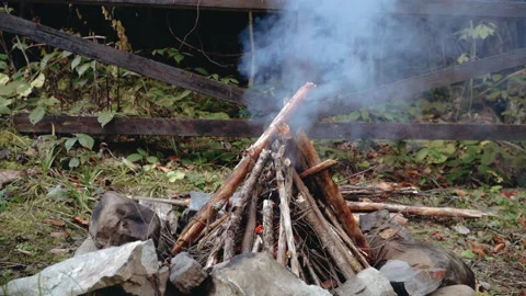 A bright flame of fire. Flame close-up. Camping in the spring. Danger of fire. Stock Footage 195309493