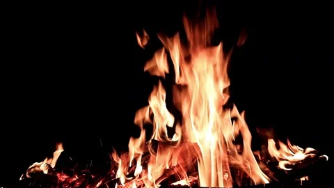 Bright flame of open fire Stock Footage 99812613