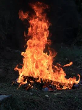 Bright flame of wildfire Stock Photos