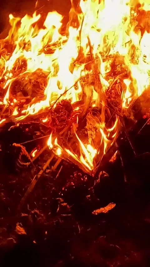 Bright flames burning dry branches creating intense fire Stock Footage 321957179