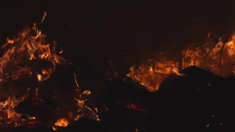 Bright flames on a dark background, engulfing wooden logs Stock Footage 316422224