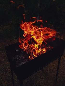 Bright flames on a dark background Stock Photos