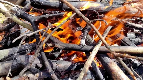 Bright flames engulfing firewood, captured in close-up. A dynamic and warm scene Stock Footage 297960264