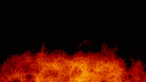 The bright flames of a real fire. Flame on black background. Fire line. Stock Footage 115537090