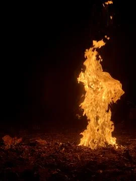 Bright flames shoot upward, creating a captivating display against the night Stock-Fotos