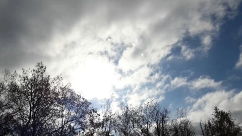 Bright flashes of light. The sun behind the clouds. Forest. Stock Footage 101446965