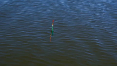 Bright float above and under water. Fishing on the lake Stock Footage 124384130