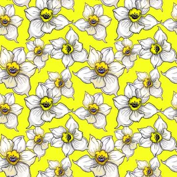 Bright floral seamless pattern with yellow flowers Narcissus, Stock Illustration