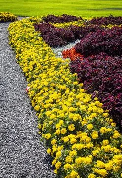 Bright flower bed Stock Photos