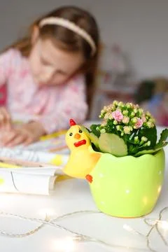 Bright flower in a pot on a children's table Foto stock