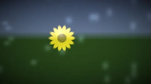 Bright flower standing alone in a field under a clear sky Stock Footage 338343084