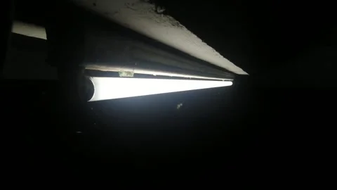 A bright fluorescent light glowing in a dark room Stock Footage 323992697