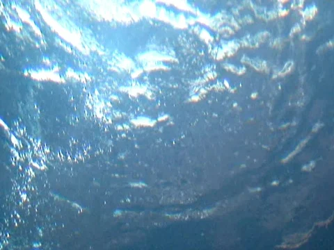 Bright Stock Footage 490309