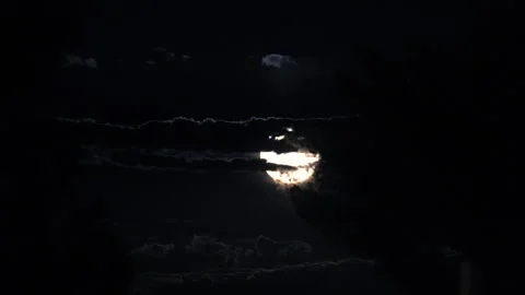 A bright full blue moon behind trees and the clouded sky at night Vídeo Stock 250238371