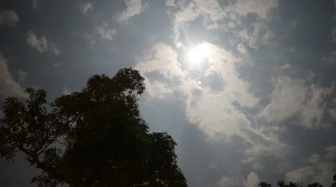 Bright full moon rising with night clouds and large tropical forest tree time la Stock Footage 54153630