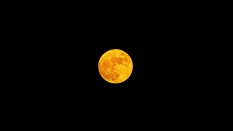 Bright Full Moon Rising Slowly in the Dark Night Sky Over the Horizon Stock Footage 342026199
