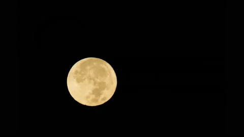 Bright Full Moon Setting Behind Mountain and Trees Time Lapse Stock Footage 146491009