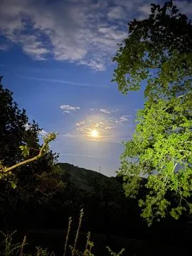 Bright Full Moon Shining Over Hill and Trees at Night Fotos Stock