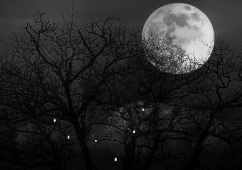 Bright full moon with spooky tree branches background Stock Photos
