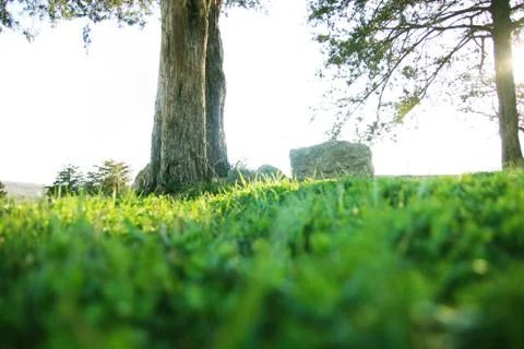 Bright Future Stock Photos