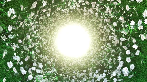 Bright, Glowing Light Center of Circular Arrangement of White Flowers and Green  Stock Footage 301449277