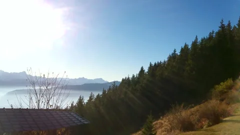 Bright glowing sun in the blue sky, green fir trees in the distance, mountains Stock Footage 256237992