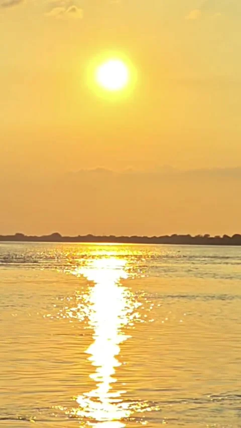 Bright Golden Sun Setting Over River with Shimmering Water Reflection Stock Footage 340518321