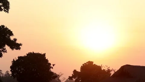 Bright Golden Sunset Over Tree Line Stock-Footage 328529501