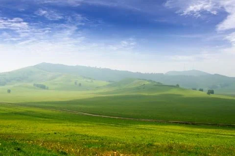 Bright grass Stock Photos