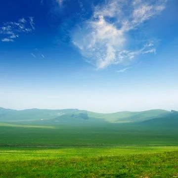 Bright grass Stock Photos