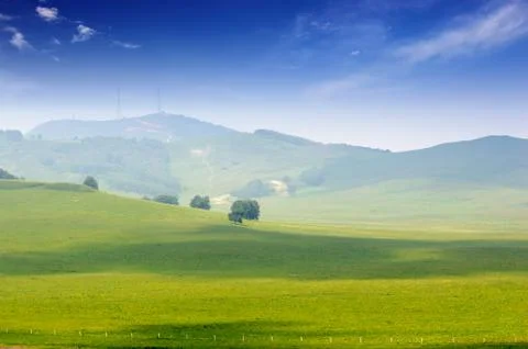 Bright grass Stock Photos