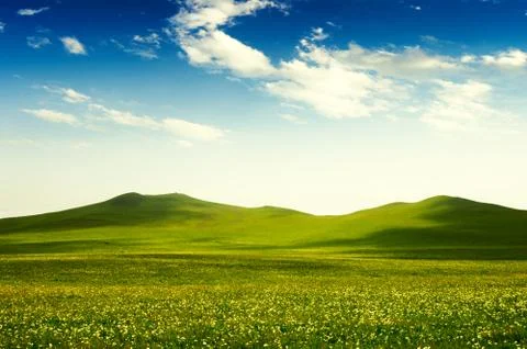 Bright grass Stock Photos