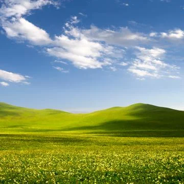 Bright grass Stock Photos