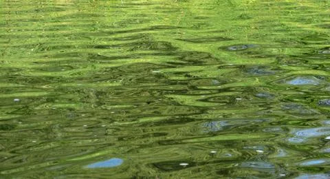 Bright green background Stock Photos