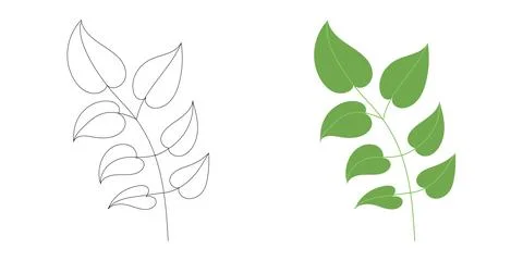 Bright green branch with smooth leaves in a clean style, ideal for botanical art Stock Illustration