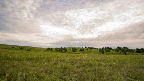 Bright green grass field blowing in a strong wind with a blue sky filled with Stock Footage 156776482