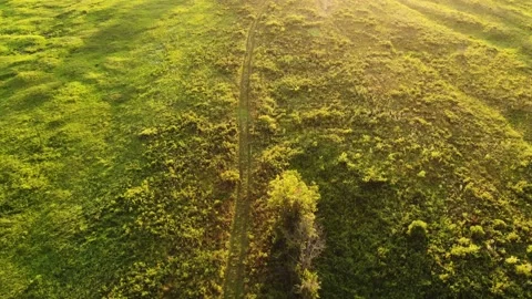 Bright green meadow next to the river Stock Footage 142071916