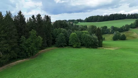 Bright green meadows alternate with dense coniferous forests Stock Footage 338350030
