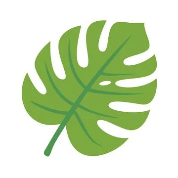 Bright Green Monstera Leaf Vector Illustration Stock Illustration