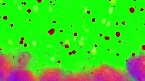 Bright green screen with falling red petals and vibrant pink and purple powder Stock Footage 339257392