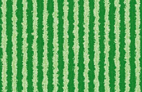 Bright green vertical jagged striped abstract watermelon skin texture background Stock Illustration
