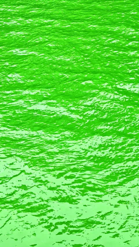 Bright green water surface reflecting light during daytime at an outdoor Stock Footage 332272972