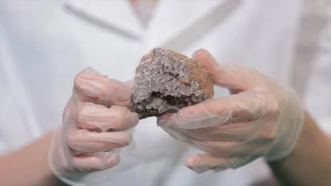 Bright grey ruby crystal ore in hands with gloves. Crystallization is the Stock Photos