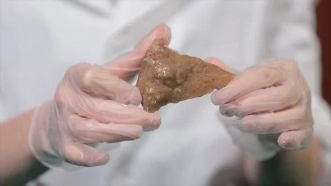 Bright grey ruby crystal ore in hands with gloves. Crystallization is the 스톡 사진