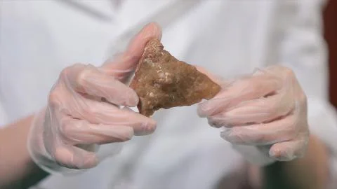 Bright grey ruby crystal ore in hands with gloves. Crystallization is the Stock Photos