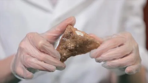 Bright grey ruby crystal ore in hands with gloves. Crystallization is the 스톡 사진