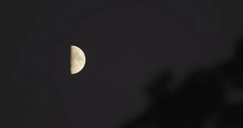Bright half moon glowing in the dark night sky Stock Footage 342002028