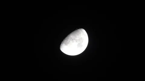 Bright Half Moon in Nighttime Dark Sky. Stock Footage 109585067